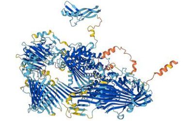 La IA de Google predice la estructura de todas las proteínas conocidas