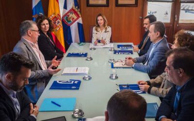 Canarias – Proyectos de promoción en España e internacionalización (Ref. 211-25)