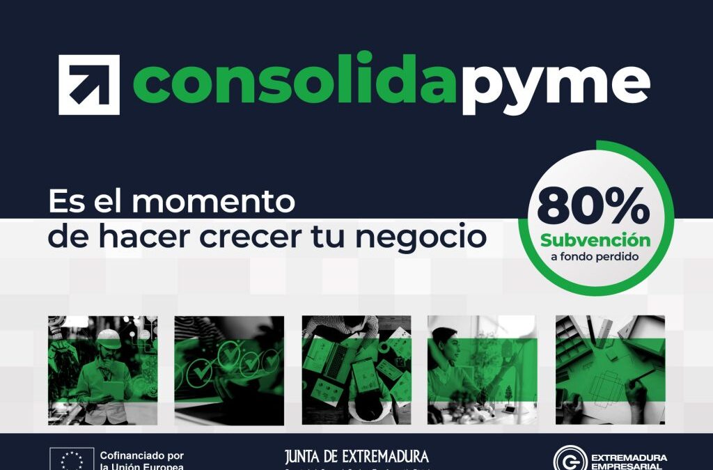 Extremadura –Ayudas a la implantación de herramientas tecnológicas (Ref. 221-25)