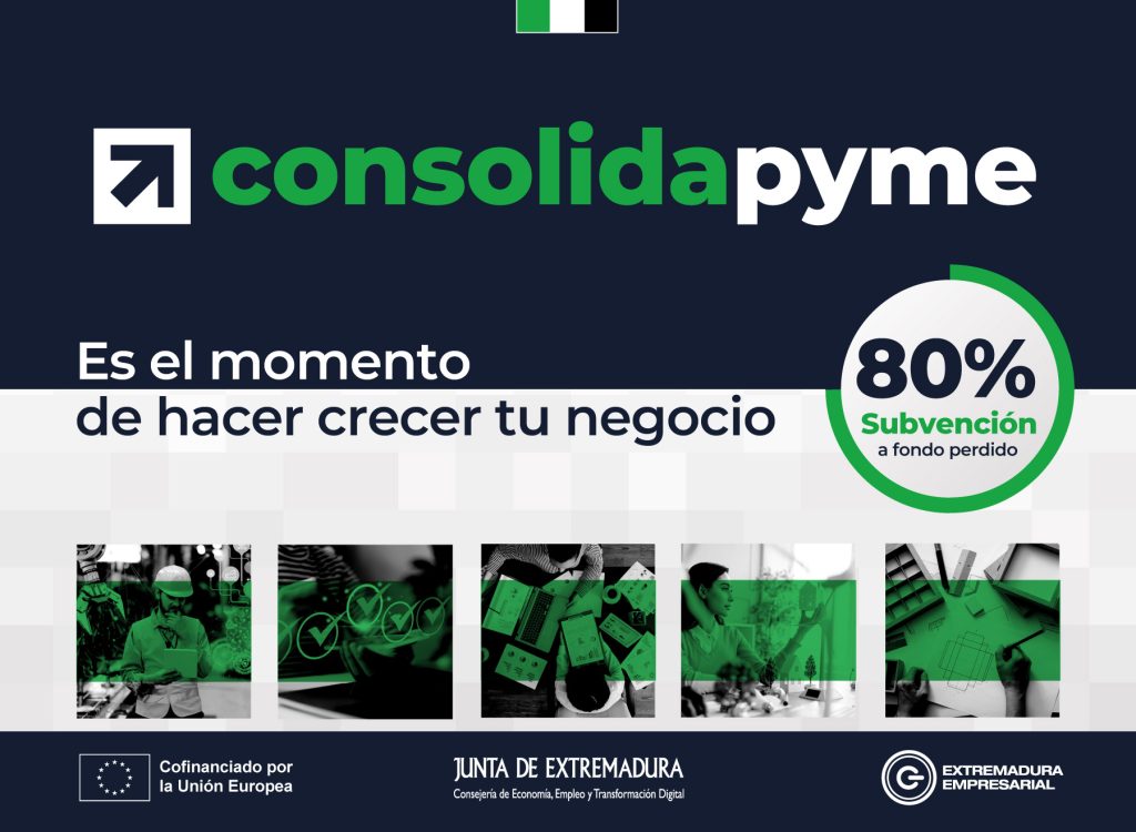 Ayudas-Consolidapyme-grafica-1024×750