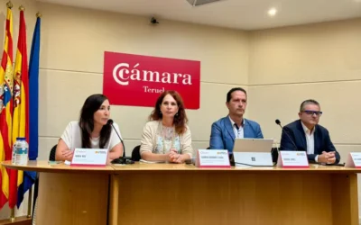 Teruel –Ayudas al comercio (Ref. 223-25)